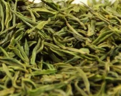建德苞茶 杭州绿茶的玲珑珍品
