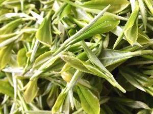 贵州茶香飘四海 从地方特产品到第一大出口农产品的崛起之路